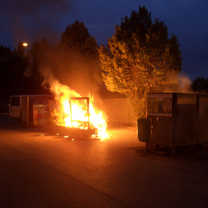 CIMG5523 Kopie